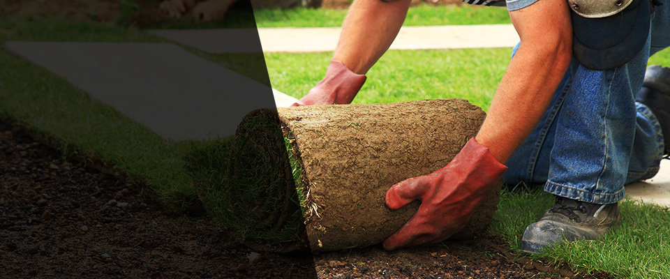 Star Prairie Landscapers